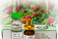산삼약침 15% + EX