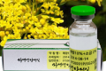 패장약침 10%