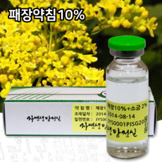 패장약침 10%