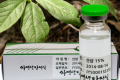 산삼약침 15%
